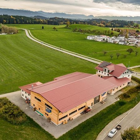 Bodensee Apartment Allgaeu Alpenblick Wangen im Allgäu Екстериор снимка